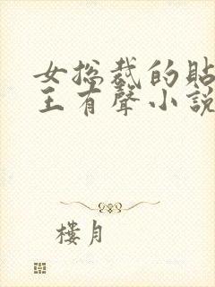 女总裁的贴身兵王有声小说免费听