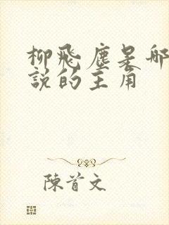 柳飞尘是哪部小说的主角