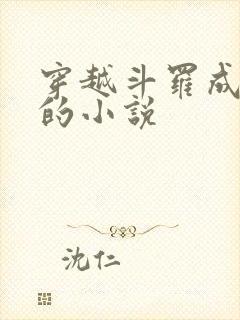 穿越斗罗成为焱的小说封面