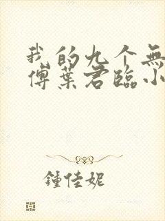 我的九个无敌师傅叶君临小说