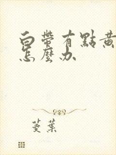 白带有点黄异味怎么办