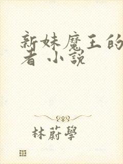 新妹魔王的契约者 小说