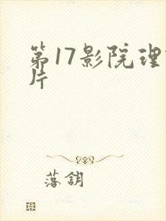 第17影院理论片