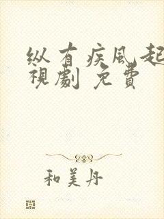 纵有疾风起 电视剧 免费封面