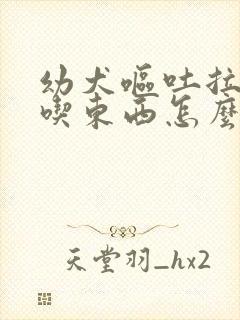 幼犬呕吐拉稀不吃东西怎么办