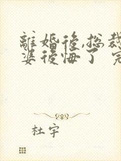 离婚后,总裁老婆后悔了 完结版