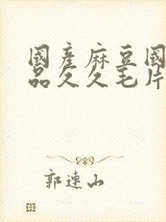 国产麻豆国精精品久久毛片封面