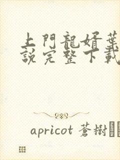 上门龙婿叶辰小说完整下载封面