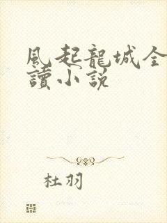 风起龙城全文阅读小说