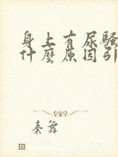 身上有尿骚味是什么原因引起的