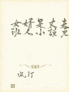 女婿是丈夫的接班人小说免费阅读