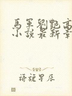 马军刘艳高红梅小说最新章节