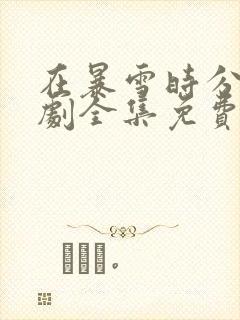 在暴雪时分电视剧全集免费观看