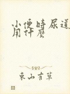 小便时尿道刺疼用什么封面