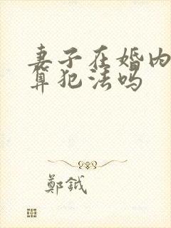 妻子在婚内出轨算犯法吗封面