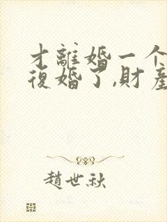 才离婚一个月又复婚了,财产怎么算