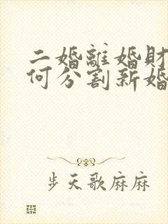 二婚离婚财产如何分割新婚姻法封面