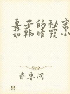 妻子的秘密林雅茹韩晴霞小说免费阅读