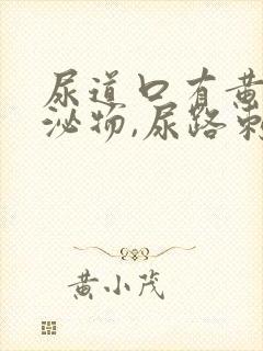 尿道口有黄色分泌物,尿路刺痛