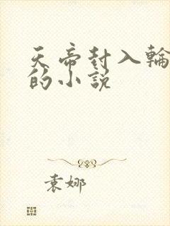 天帝封入轮回镜的小说