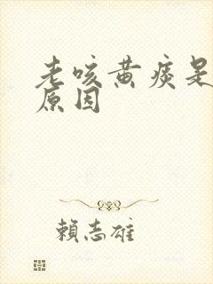 老咳黄痰是什么原因