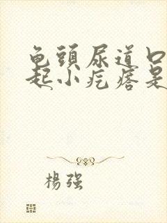 龟头尿道口有凸起小疙瘩是怎么回事封面