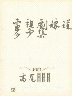 电视剧娘道一共多少集封面