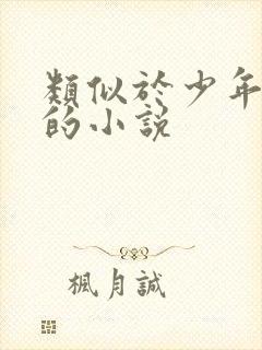 类似于少年啊宾的小说封面