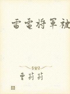 雷电将军被俘虏