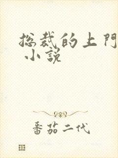 总裁的上门女婿 小说