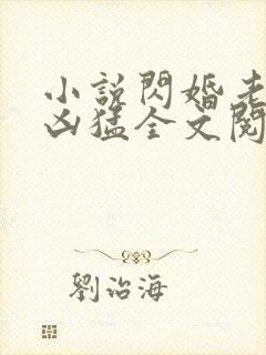 小说闪婚老公太凶猛全文阅读