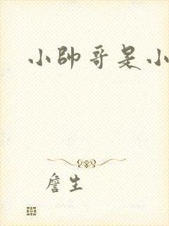 小帅哥是小鲜肉