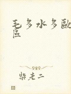 毛多水多欧美一区封面