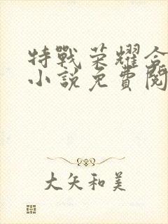 特战荣耀合集 小说免费阅读封面