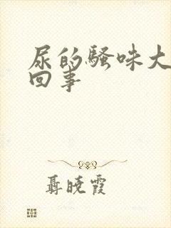 尿的骚味大怎么回事