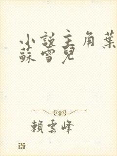 小说主角叶君临苏雪儿