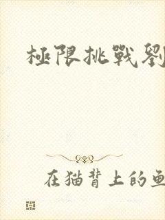 极限挑战刘宇宁