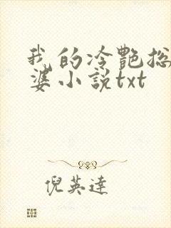 我的冷艳总裁老婆小说txt
