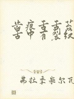 齿痕舌舌苔白腻舌中有裂纹