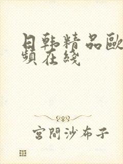 日韩精品欧美视频在线