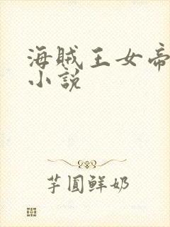 海贼王女帝同人小说封面