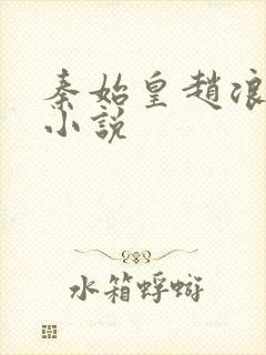 秦始皇赵浪穿越小说