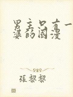 男主只有一个老婆的国漫