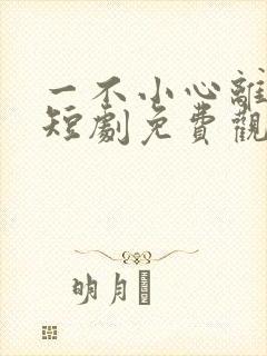 一不小心离错婚短剧免费观看