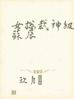 女总裁神级保镖苏辰