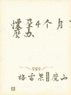 怀孕4个月了怎么办