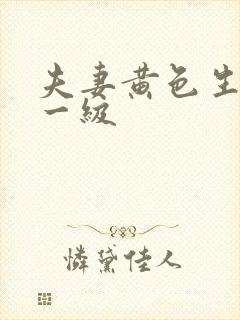 夫妻黄色生活片一级