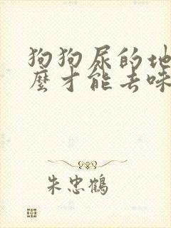 狗狗尿的地方怎么才能去味