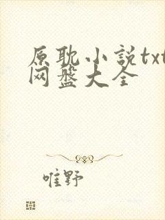 原耽小说txt网盘大全