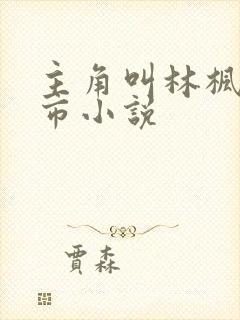 主角叫林枫的都市小说